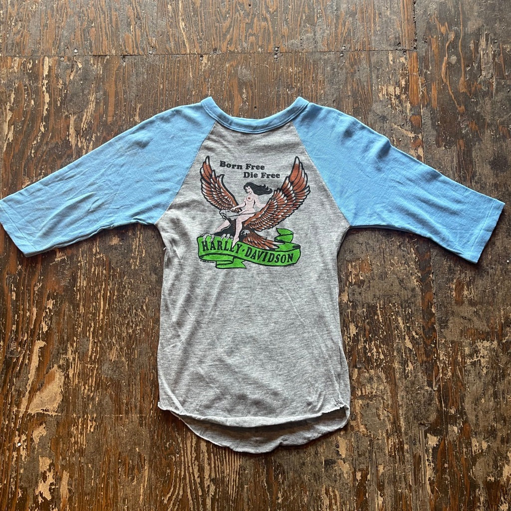 Born Free Die Free HD Raglan Tee
