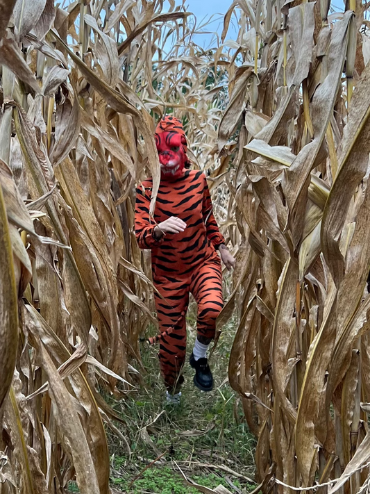 Antique Tiger Costume