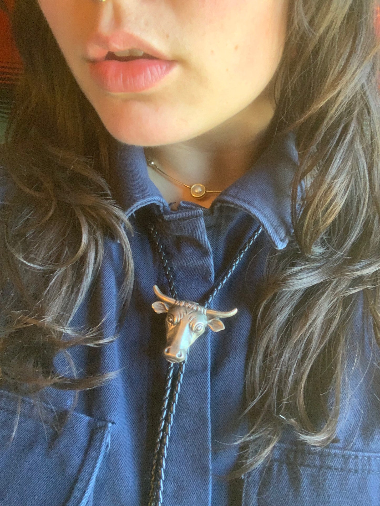 Assorted Western Bolo Ties