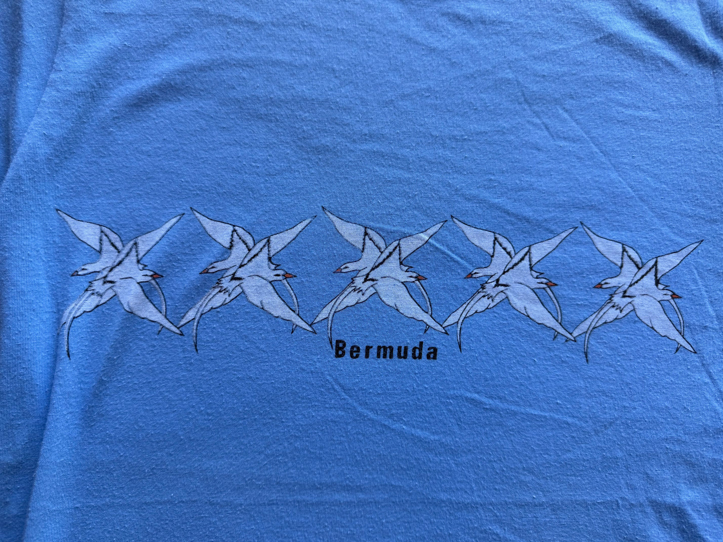 Vintage Bermuda Tee