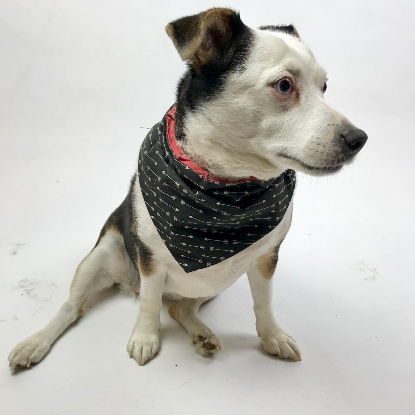 Handmade Dog Collar Bandanas (XS-XL)