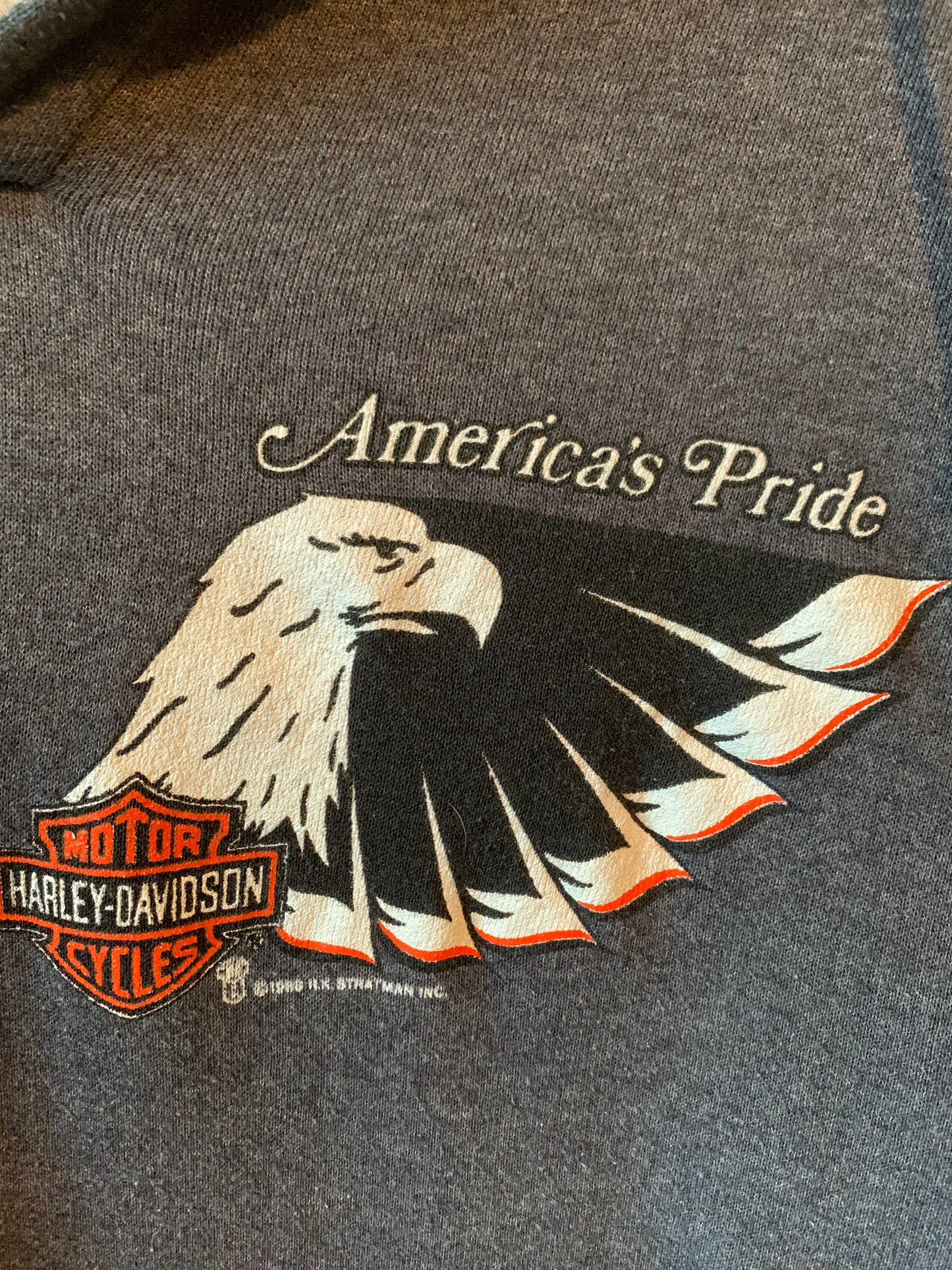 America's Pride Hoodie (L/XL)